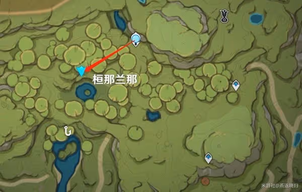《原神》3.0須彌新增旋曜玉帛收集位置分享