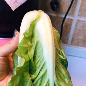 鮮蝦炒快菜