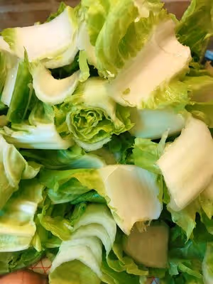 鮮蝦炒快菜