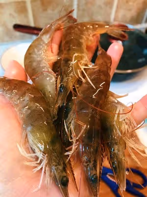 鮮蝦炒快菜