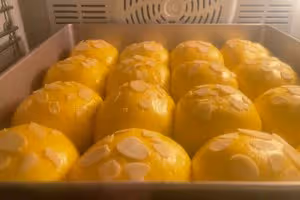 南瓜🎃小餐包