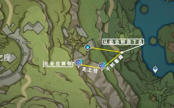 《原神》樹王聖體菇採集路線推薦