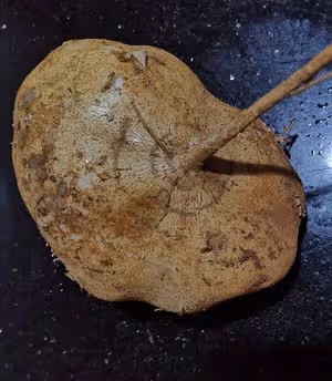 素炒涼薯