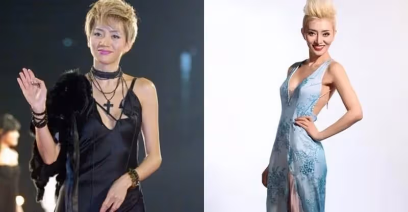 連劉德華都落淚，女工人為整成梅艷芳，整形10餘次撈金上百萬，被名利沖昏頭腦，歌迷不勝唏噓