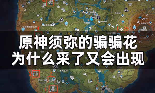 原神須彌騙騙花觸發寶箱位置一覽 須彌的騙騙花為什麼采了又會出現