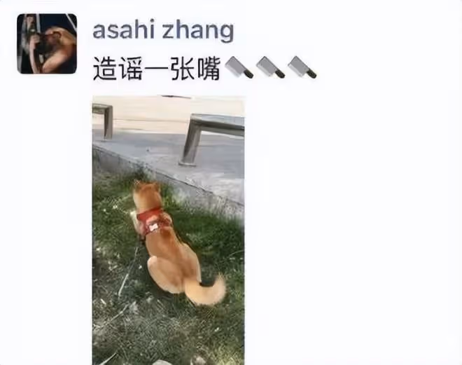 「死鴨子嘴硬」的7位明星,個個撒謊不臉紅,真是尷尬又好笑