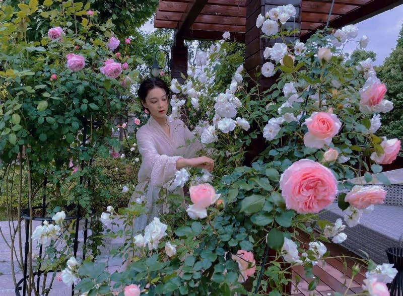 張馨予曬私家花園,打扮精緻大片花海像公園,連茶杯都奢華無比
