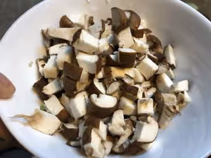 吃麵條必備的香菇豬肉鹵