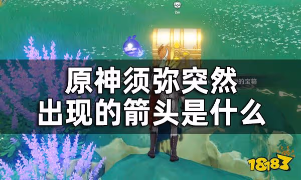 原神須彌三箭頭指引的華麗寶箱獲取方法攻略 須彌突然出現的箭頭是什麼