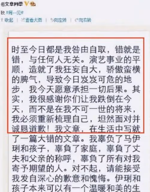 這篇文章,馬伊琍的成功和馬伊琍的失敗