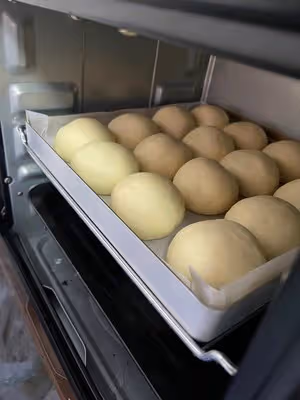 中種法酸奶小麵包（小餐包）