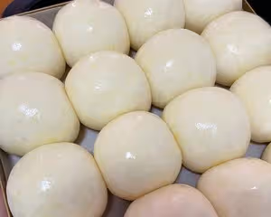 中種法酸奶小麵包（小餐包）
