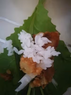 東北大飯包