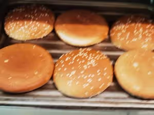 漢堡包（部分半成品版本）