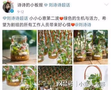劉詩詩多家網站暫停營業,粉絲不滿《一念關山》劇方模糊一姐番位