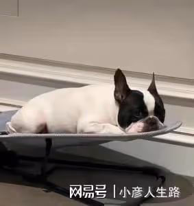 娛樂圈8大好男人,愛妻又專一,個個都是李易峰的榜樣