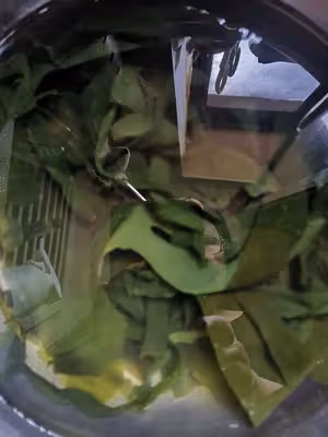 裙帶菜蝦滑湯