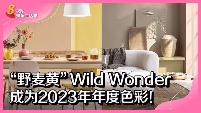 「野麥黃」Wild Wonder成為2023年年度色彩！