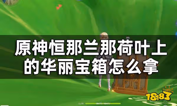原神恆那蘭那2個華麗寶箱獲取攻略 恆那蘭那荷葉上的華麗寶箱怎麼拿