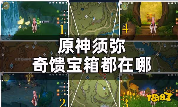 原神須彌奇饋寶箱全收集 須彌奇饋寶箱都在哪