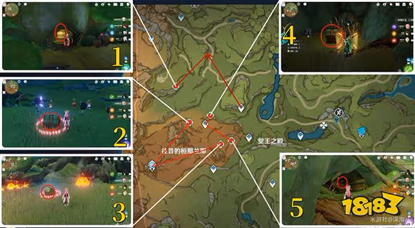 原神須彌奇饋寶箱全收集 須彌奇饋寶箱都在哪