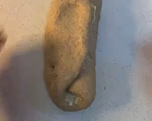 全網最簡單的全麥麵包