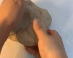 全網最簡單的全麥麵包