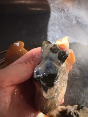 爆炒河蚌肉
