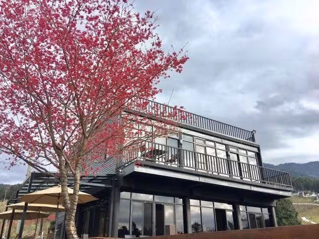 金曲歌后送媽「6千坪農莊養老」退休金全花光,4年後意外獲商機「母女搖身變老闆」網贊:孝心人有天眷