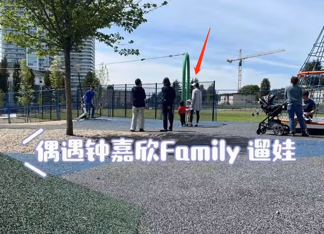 38歲鍾嘉欣曬全家福!懷胎8個月肚大如籮,肚子布滿妊娠紋太心酸