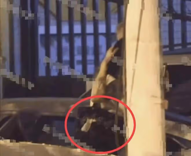 竇唯20歲小女兒被曝戀情!疑與男星深夜街頭擁吻,手上紋身引猜測