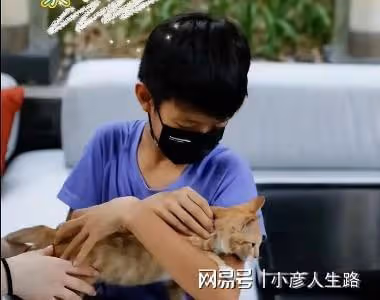 孫儷帶孩子去市集做義賣！兒子懷抱貓咪身形消瘦，女兒眉眼像爸爸