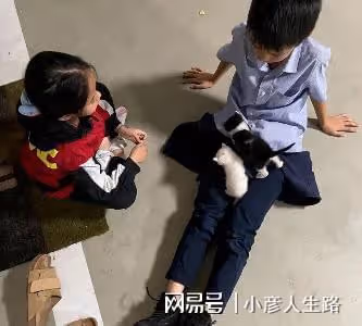 孫儷帶孩子去市集做義賣！兒子懷抱貓咪身形消瘦，女兒眉眼像爸爸