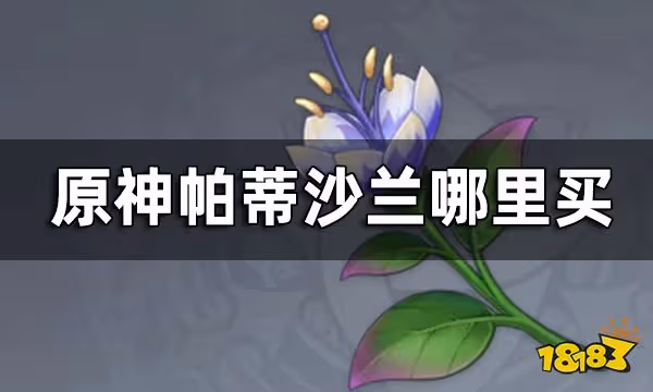原神帕蒂沙蘭購買位置 帕蒂沙蘭哪裡買