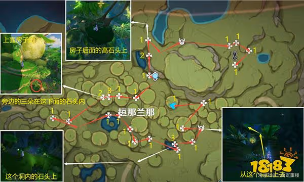 原神帕蒂沙蘭購買位置 帕蒂沙蘭哪裡買