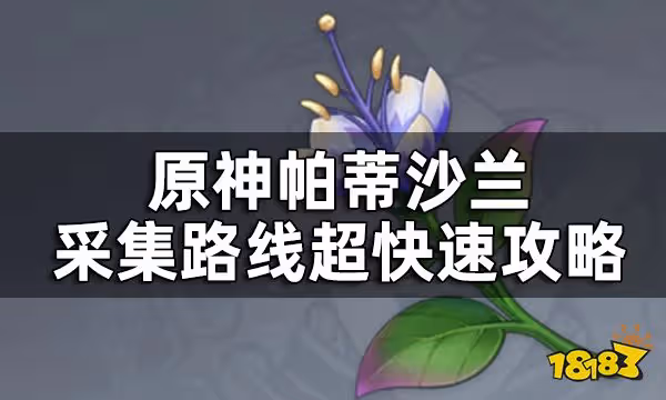 原神帕蒂沙蘭位置一覽 帕蒂沙蘭採集路線超快速攻略