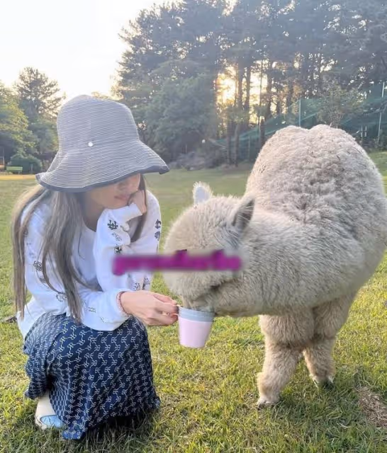 Jennie、V額吻照原圖!濟州島約會照全曝光,粉絲卻對此表示祝福