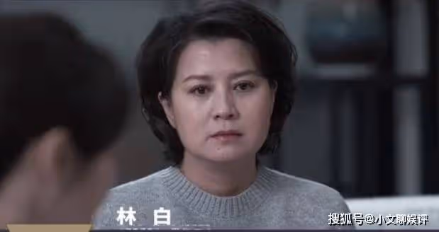 《罰罪》嚴國華發現趙鵬超破綻,一招揪出內鬼,常征中計
