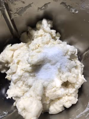 貝果（波蘭種）