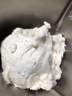貝果（波蘭種）
