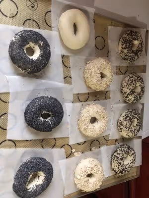 貝果（波蘭種）