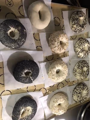 貝果（波蘭種）
