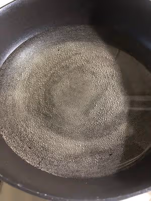 貝果（波蘭種）