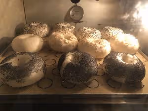 貝果（波蘭種）