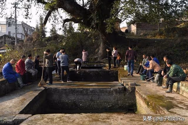 大姑每年都拿水果給我家,可是今年,母親卻生氣的說:丟垃圾桶里