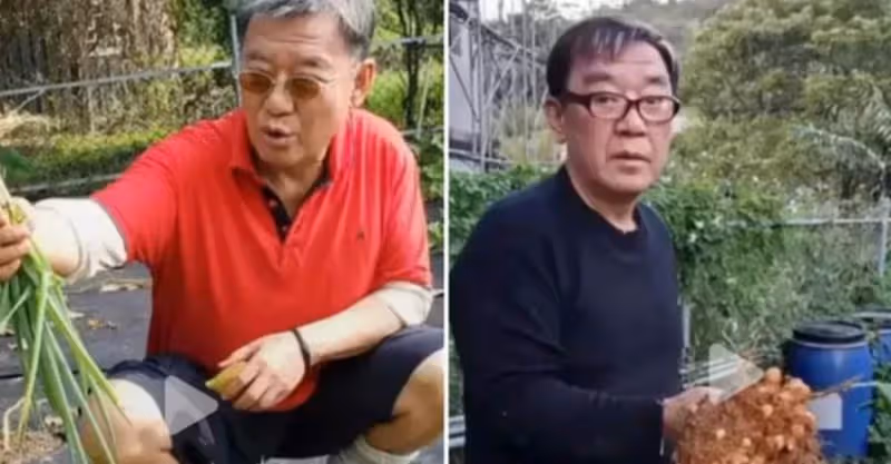 李立群山裡的生活曝光，空氣清新涼爽，與小貓為伴，每天悠閑自在，網羨慕：夢想中的生活