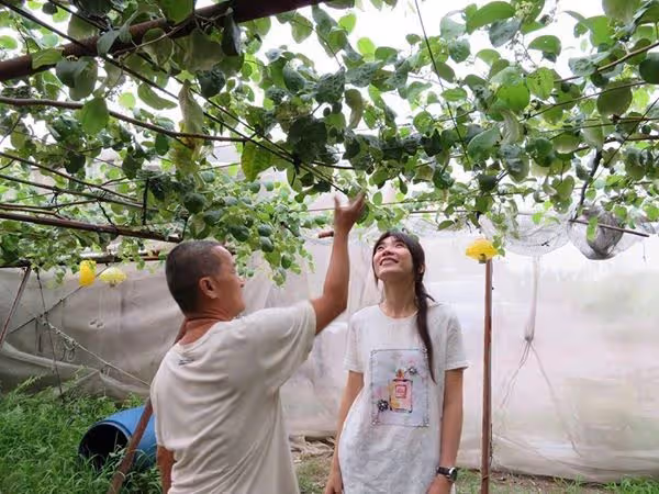 不忘養育恩!住寄養家庭半年「突然被生母帶走」苦尋20年重逢「當場下跪叩謝」:無私的愛成就了我