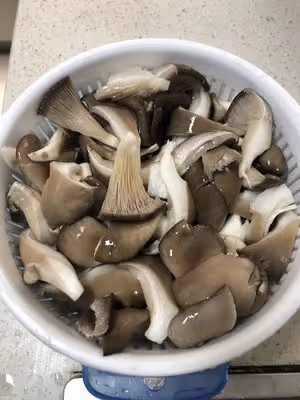 簡單美味的蘑菇炒肉