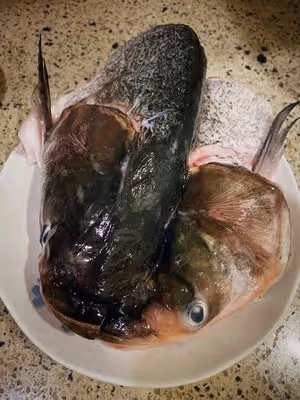 鮮！— 粉皮花鰱魚頭湯