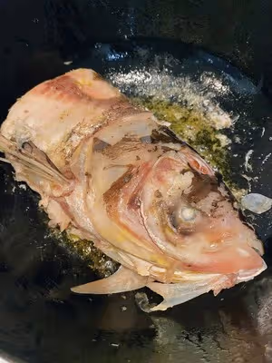 鮮！— 粉皮花鰱魚頭湯